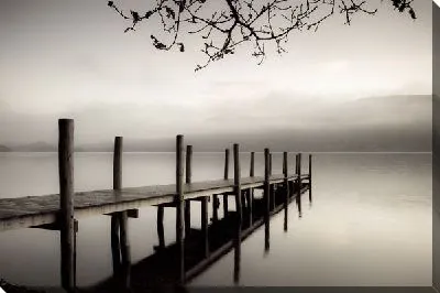 Пирс у озера в тумане (Pierce Lake in fog)