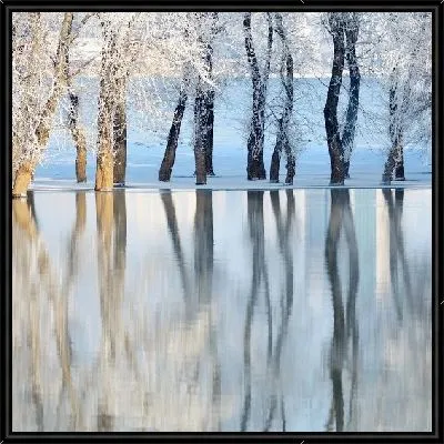 Картина Деревья отражающиеся в воде (Trees reflecting in the water)