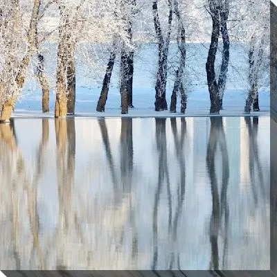 Постер Деревья отражающиеся в воде (Trees reflecting in the water)
