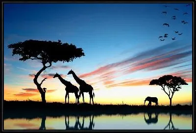 Дикие животные Африки (Wild Animals of Africa)
