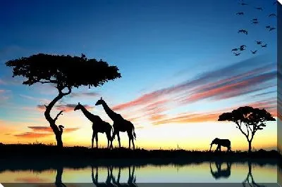 Дикие животные Африки (Wild Animals of Africa)