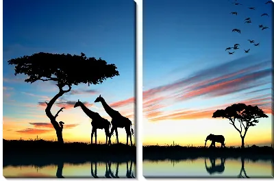 Дикие животные Африки (Wild Animals of Africa)