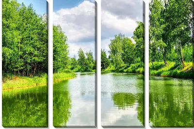 Модульная картина Озеро в лесу (Lake in the forest)