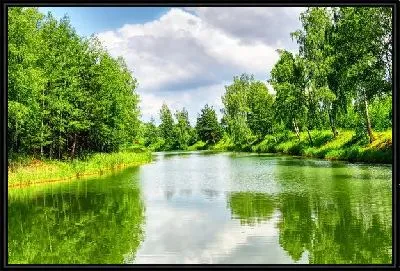 Картина Озеро в лесу (Lake in the forest)