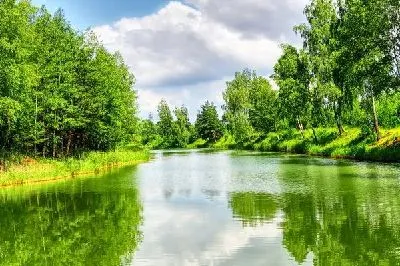 Плакат Озеро в лесу (Lake in the forest)