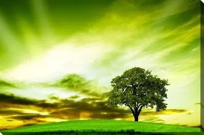 Постер Зеленое небо (Green sky)