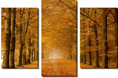 Аллея осенью (Alley in autumn)