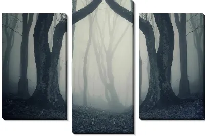 Модульная картина Туман в лесу (Fog in the forest) №2