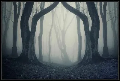 Картина Туман в лесу (Fog in the forest) №2