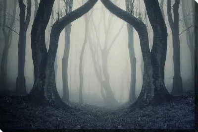 Постер Туман в лесу (Fog in the forest) №2