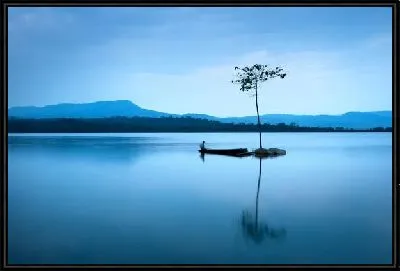 Картина Дерево посреди озера (Tree in the middle of the lake)