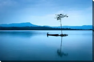 Постер Дерево посреди озера (Tree in the middle of the lake)