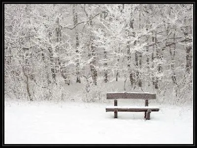 Картина Зимний пейзаж (Winter landscape) №22