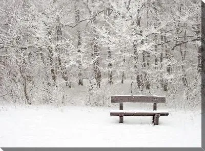 Постер Зимний пейзаж (Winter landscape) №22