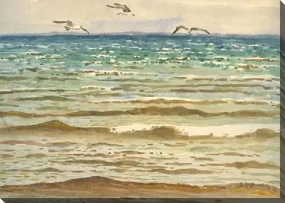 Картина маслом Чайки над морем (Seagulls over the sea)