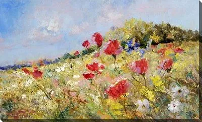 Поле с маками (Field with poppies)