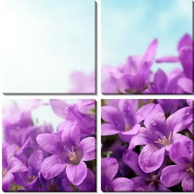 Модульная картина Сиреневые цветы (Purple flowers)