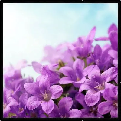 Картина Сиреневые цветы (Purple flowers)