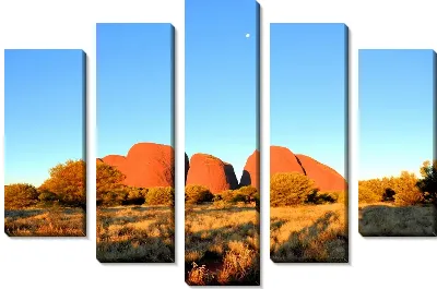 Модульная картина Национальный парк Австралии (National Park, Australia)