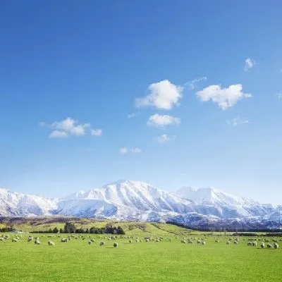 Плакат Новая Зеландия (New Zealand)