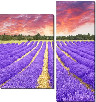 Модульная картина Лавандовое поле (Lavender field)