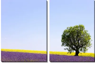 Модульная картина Поле с цветами (Field of flowers)