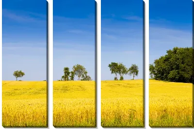 Модульная картина Пшеничное поле (Wheatfield)