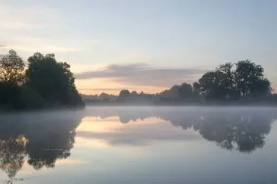Плакат Туман над озером (Fog over the lake)