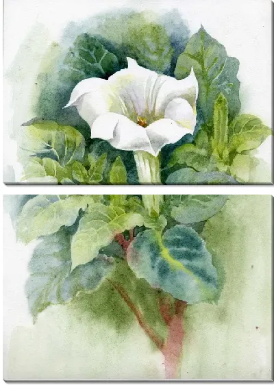 Модульная картина Белый цветок (White flower)
