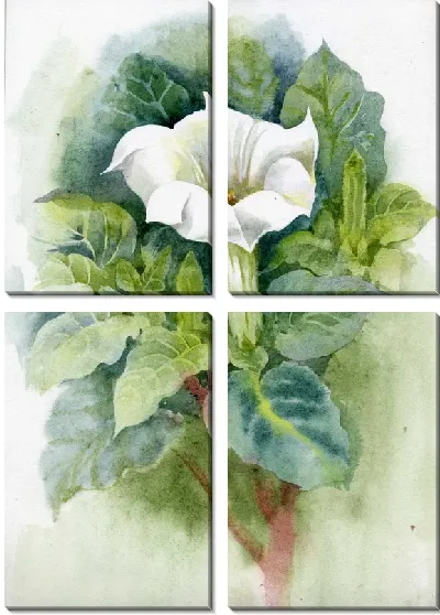 Модульная картина Белый цветок (White flower)