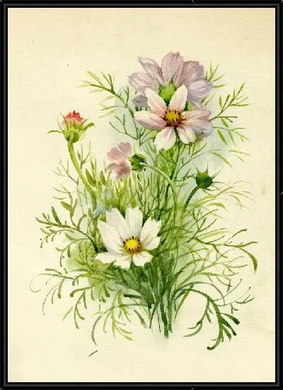 Картина Полевые цветы (Wildflowers) №5