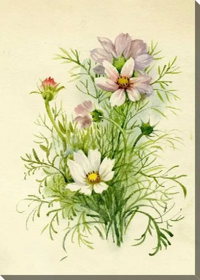 Картина маслом Полевые цветы (Wildflowers) №5