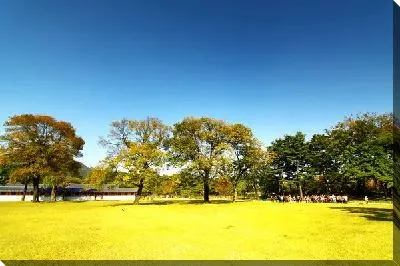 Постер Парк летом (Park in the summer)