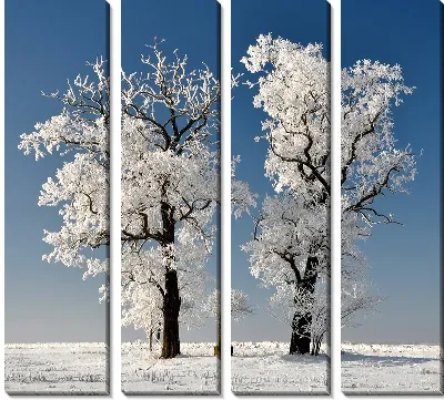 Модульная картина Заснеженные деревья (Snow-covered trees)
