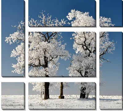 Модульная картина Заснеженные деревья (Snow-covered trees)