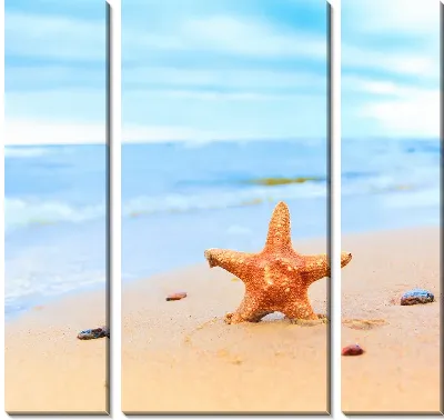 Модульная картина Морская звезда на берегу океана (Starfish on the beach)