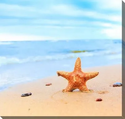 Постер Морская звезда на берегу океана (Starfish on the beach)