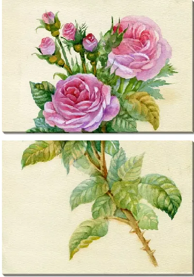 Модульная картина Розы (Roses) №62