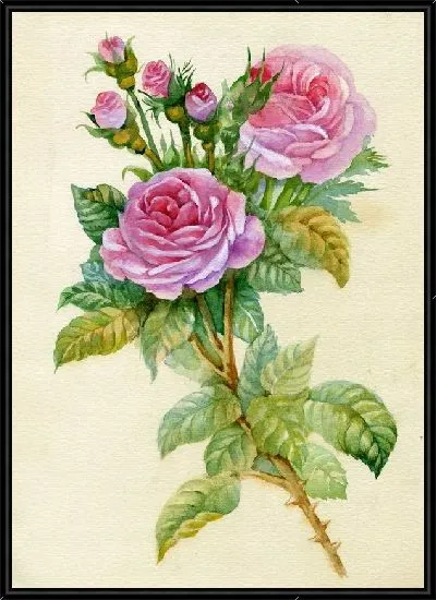 Картина Розы (Roses) №62