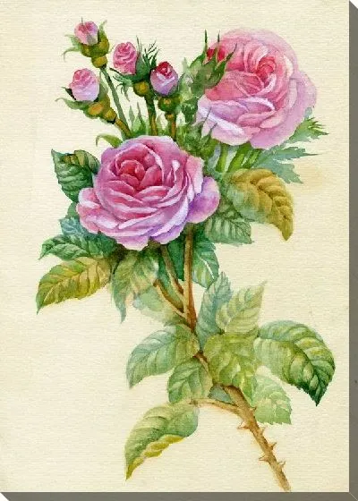 Картина маслом Розы (Roses) №62