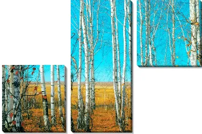 Модульная картина Березы в лесу (Birch trees in a forest) №2
