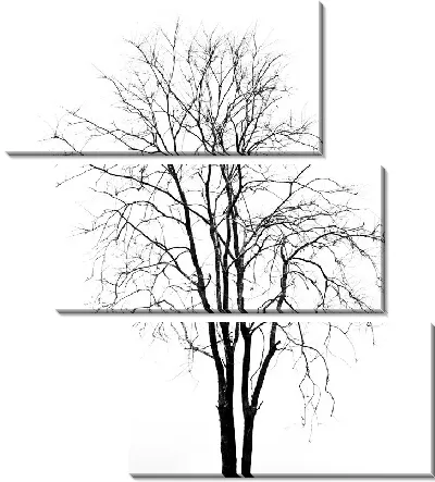 Модульная картина Дерево на белом фоне (A tree on a white background)