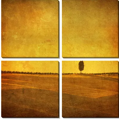 Модульная картина Поля (Field) №4