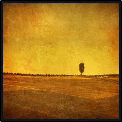 Картина Поля (Field) №4
