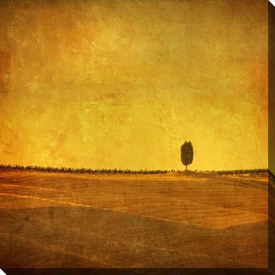 Постер Поля (Field) №4