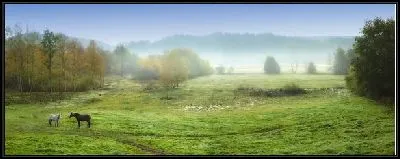 Картина Туман над равниной (Fog over the plain) №2