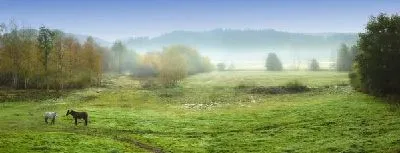 Плакат Туман над равниной (Fog over the plain) №2