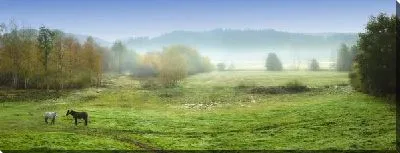 Постер Туман над равниной (Fog over the plain) №2