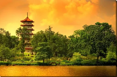 картина