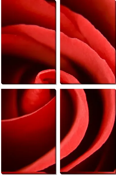 Модульная картина Роза (Rose) №14